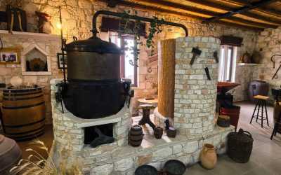 Wycieczka Szlakiem Cypryjskich Winnic - Sterna Winiarnia